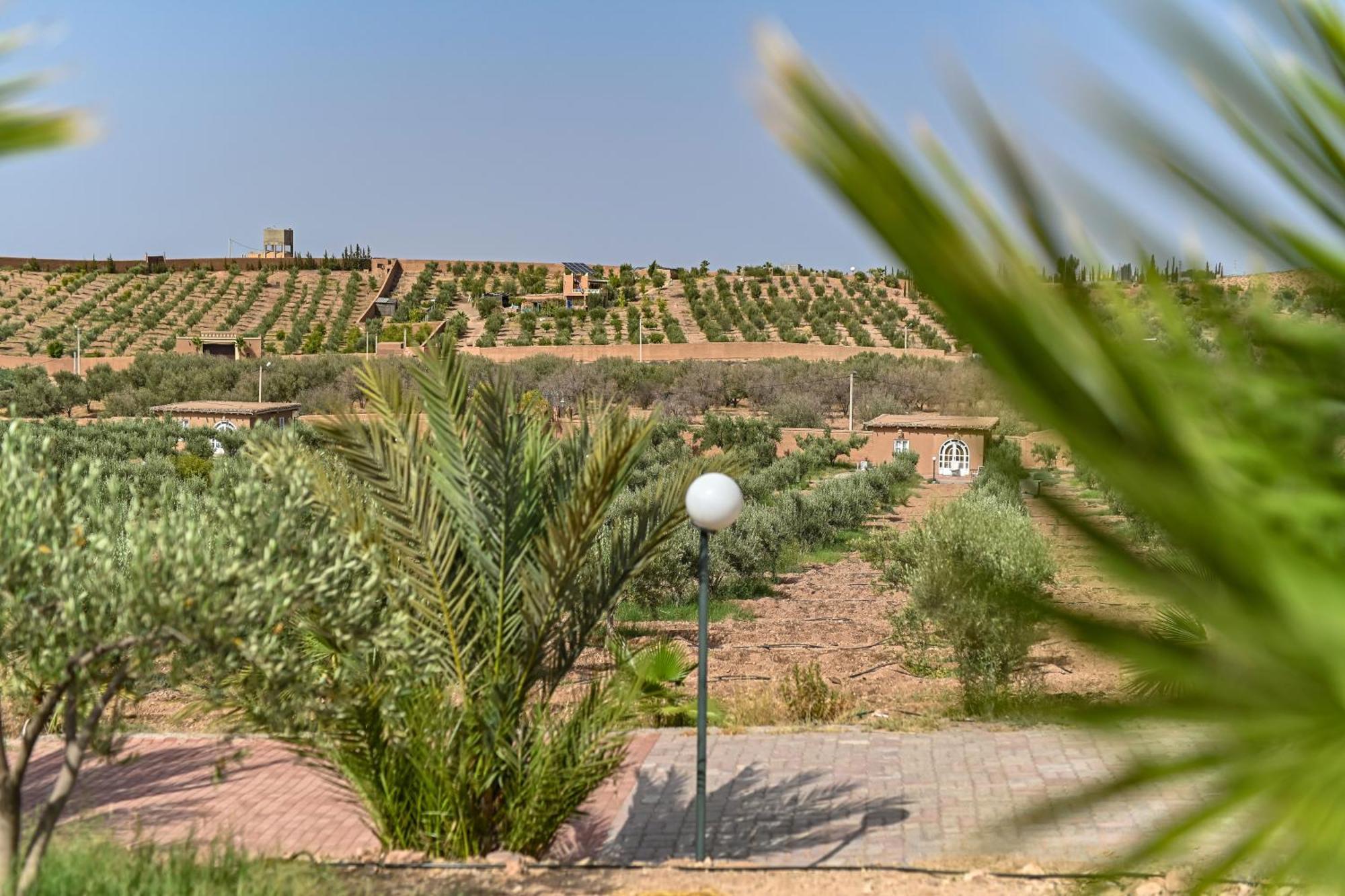 Le Parc Des Oliviers Hotell Hrabil Saâda Eksteriør bilde